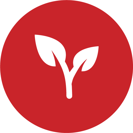 النباتات والحديقة